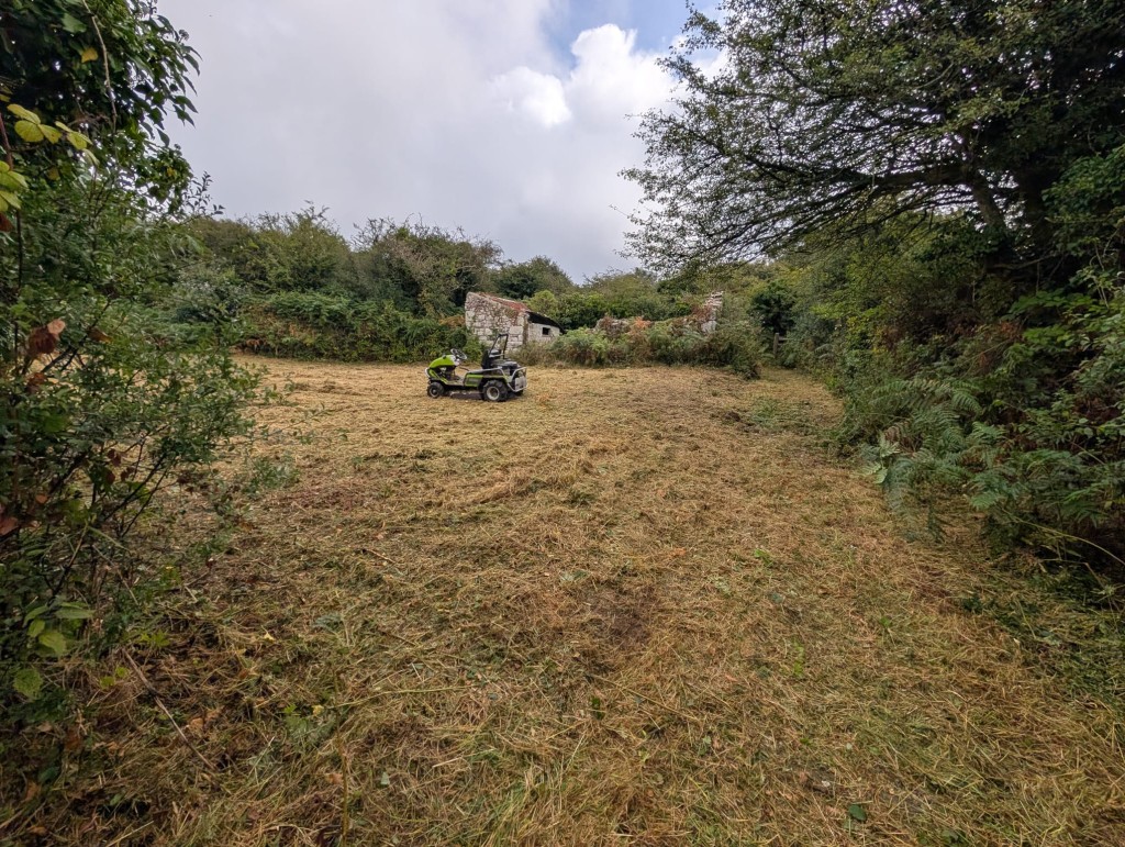 Lot: 106 - FREEHOLD LAND WITH LAKE AND DISUSED BUILDINGS - View towards disused building